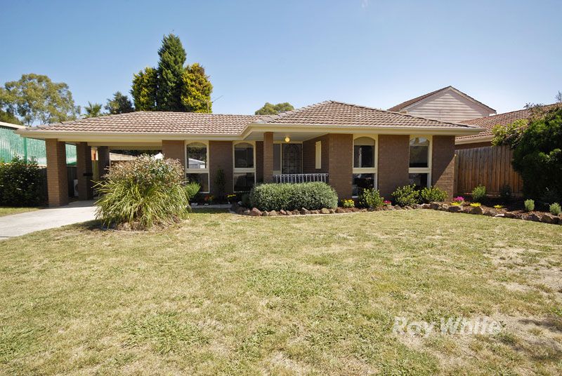 16 Cloverlea Drive, WANTIRNA VIC 3152