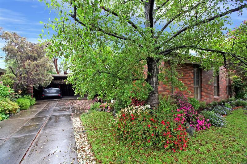37 Tasman Drive, BUNDOORA VIC 3083
