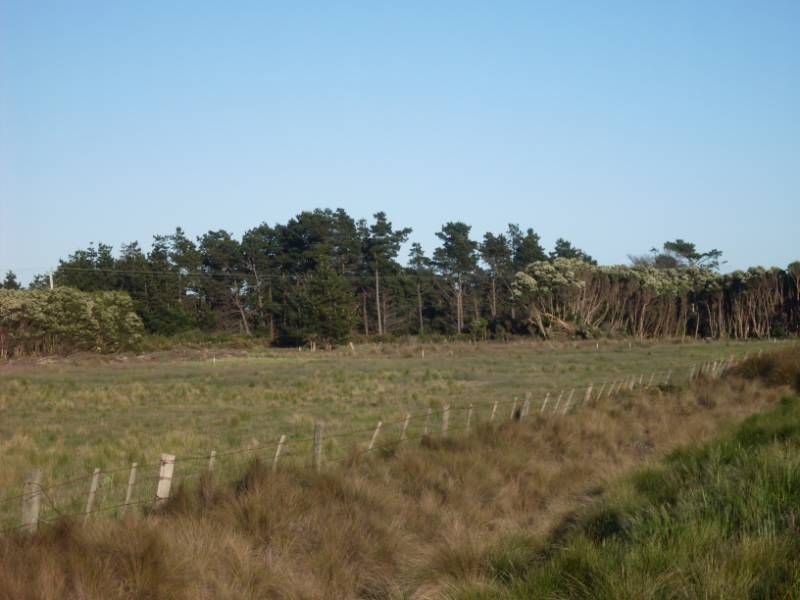 120 Anne Street, GEORGE TOWN TAS 7253