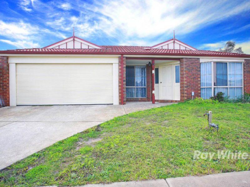 14 Alberton Drive, CRANBOURNE VIC 3977