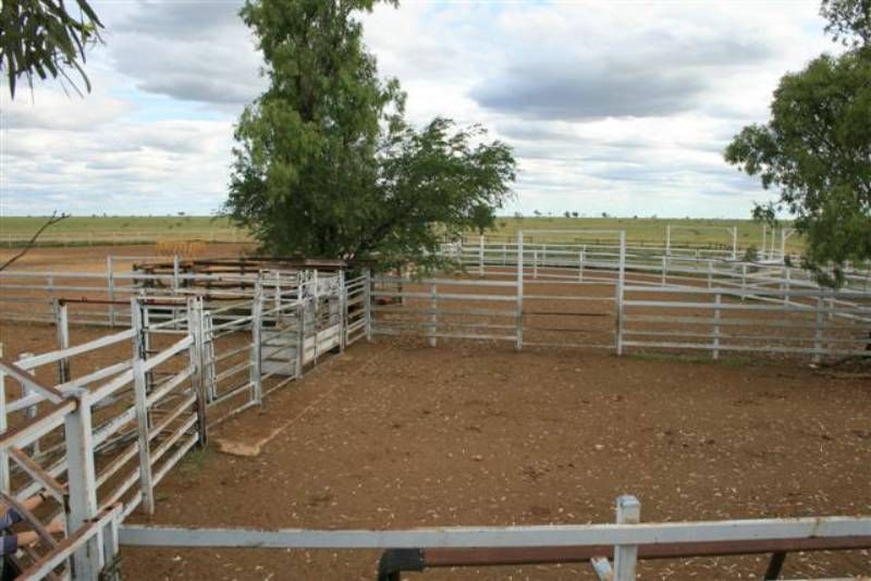 Barcaldine, QLD Rural Rural Cropping Property Sold