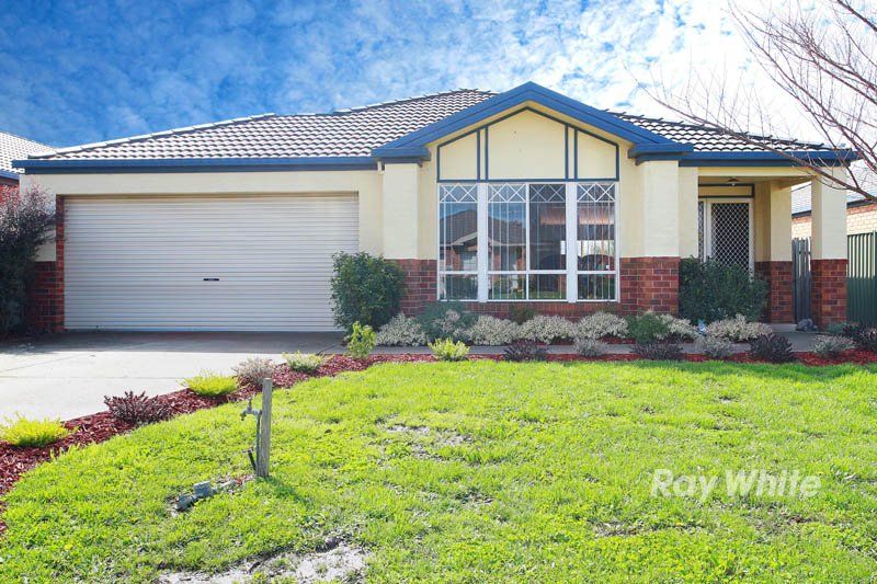 43 Masterton Place, CRANBOURNE VIC 3977