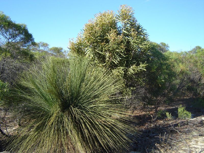 Lot 35 River Loop, JURIEN BAY WA 6516