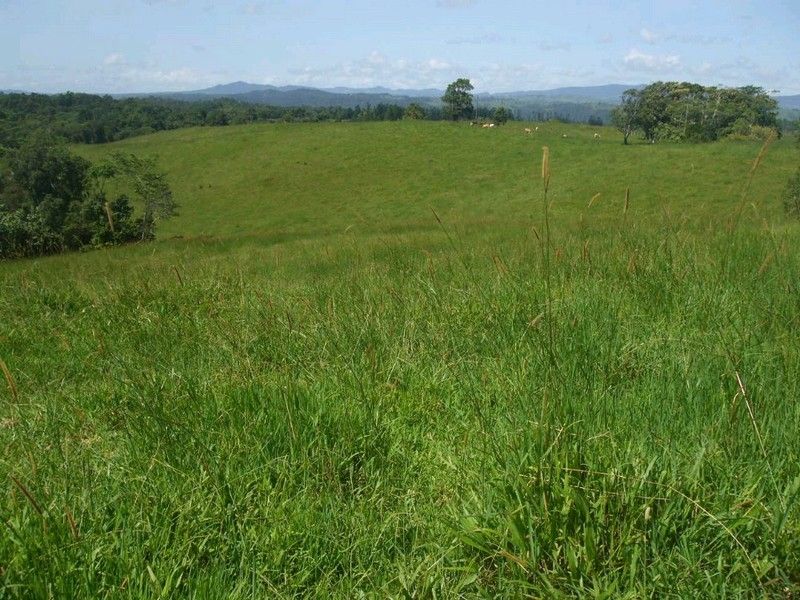 , TOPAZ, QLD – Rural • Ray White