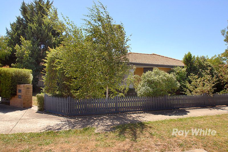 16 Pentland Drive, NARRE WARREN VIC 3805