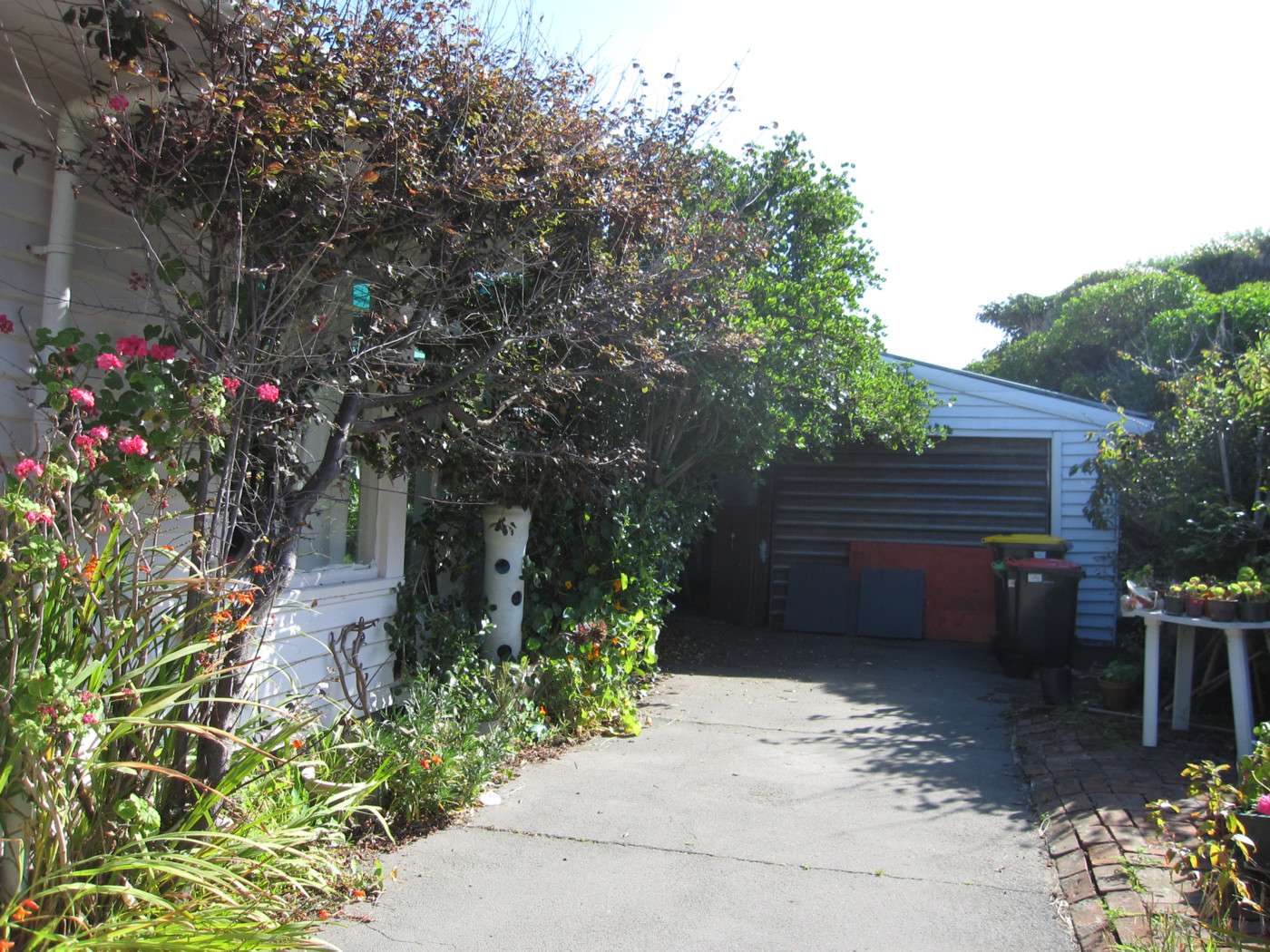 337 Marine Parade photo 2