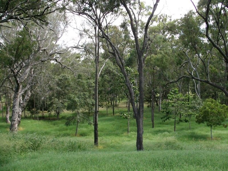 191 Rush Street, KOONGAL QLD 4701