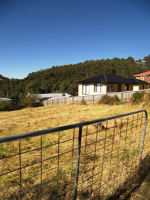 4b Fingerpost Track, SOUTH HOBART TAS 7004