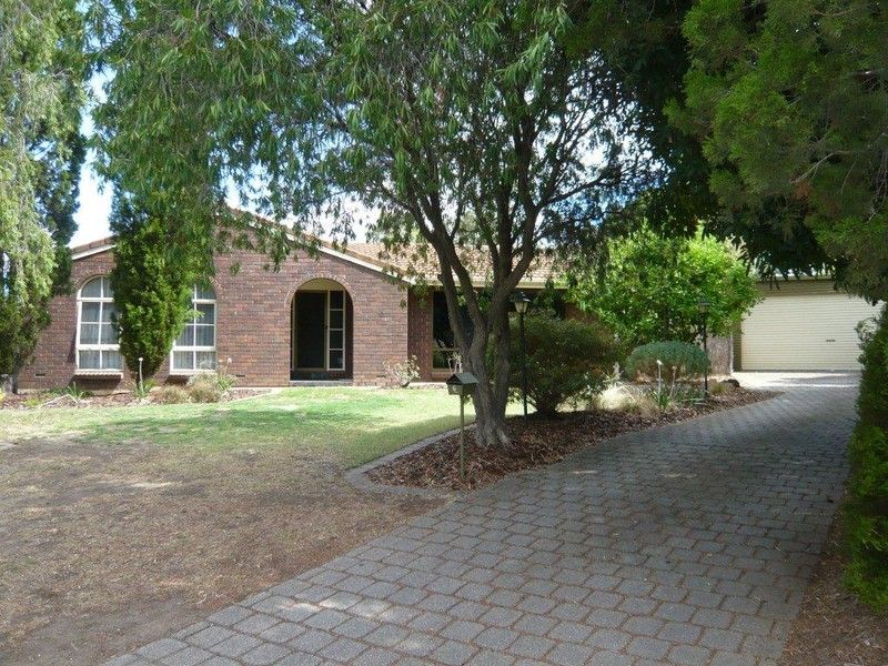 6 Curlew Court, MODBURY HEIGHTS SA 5092