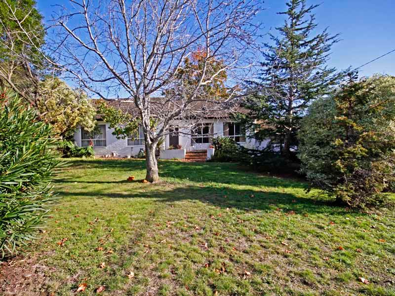 5 The Avenue, BELMONT VIC 3216