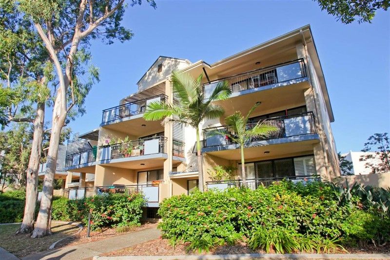 55 Harries Road, Coorparoo QLD 4151