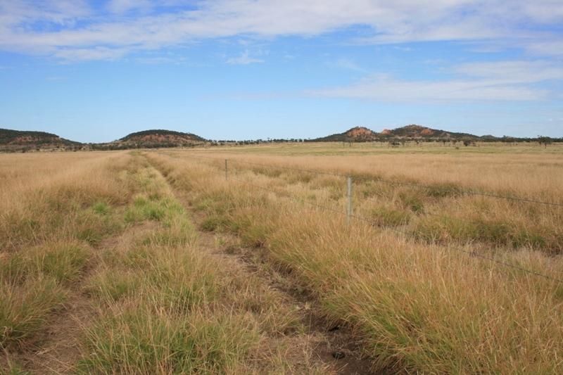 Blackall, QLD Rural Rural Livestock Property Sold