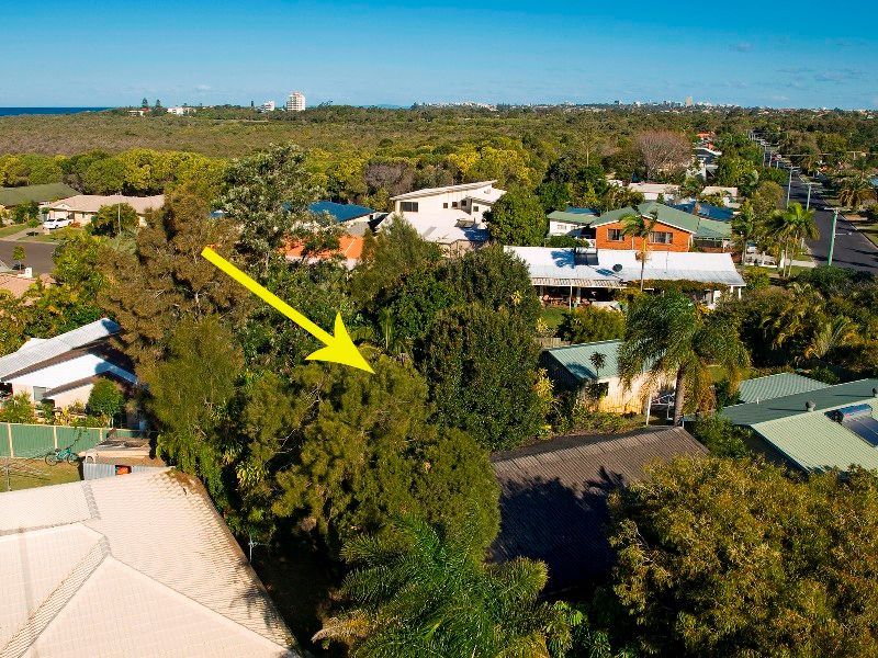 31 Mandara Drive, WURTULLA QLD 4575