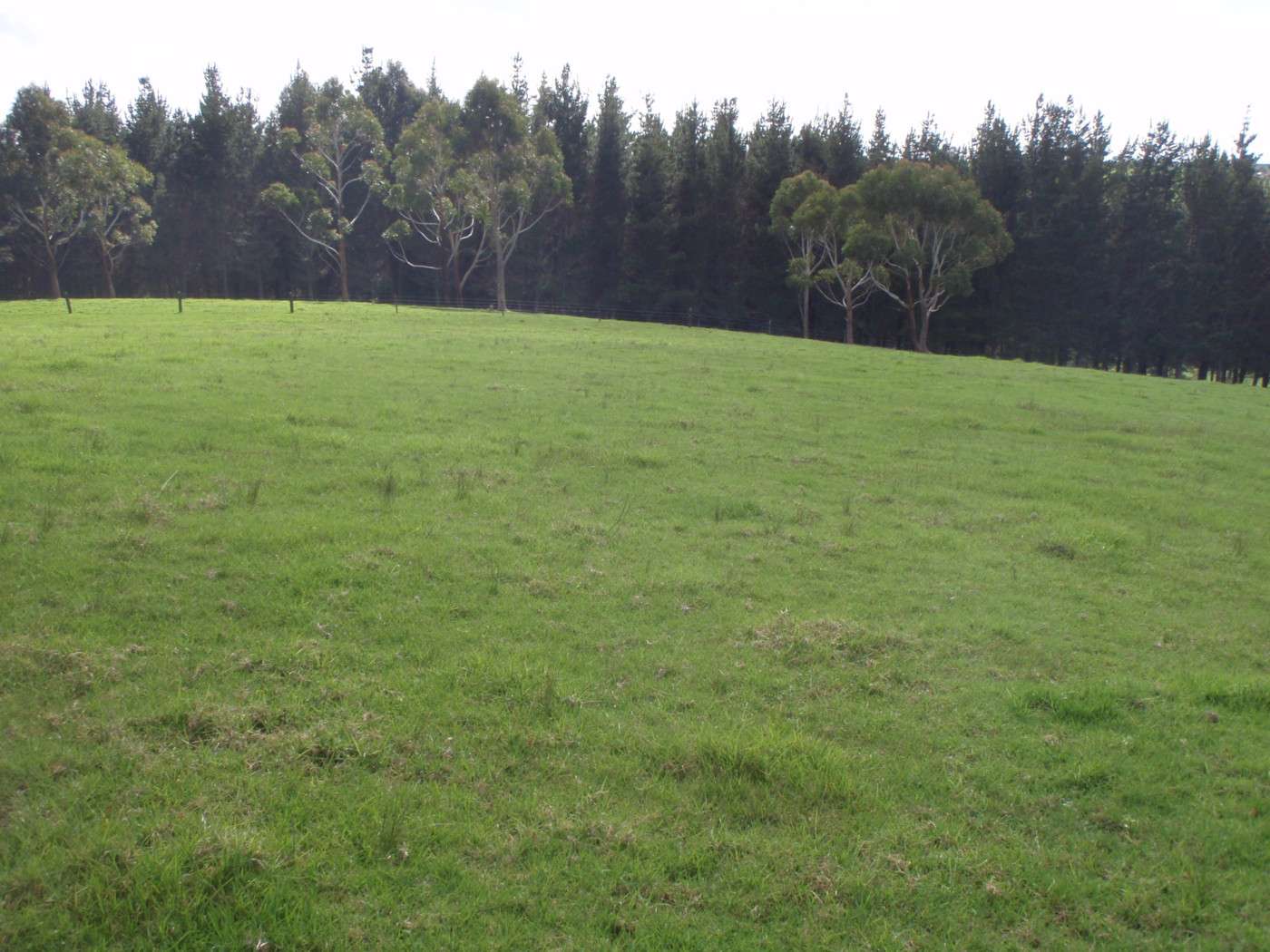 LAKE OHIA  Far North District photo 0