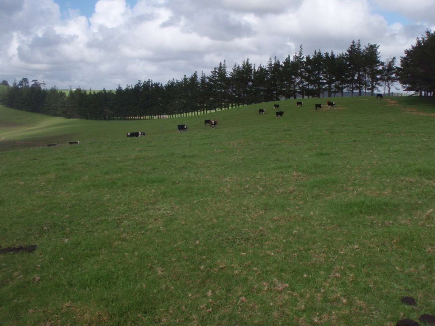 LAKE OHIA  Far North District photo 3