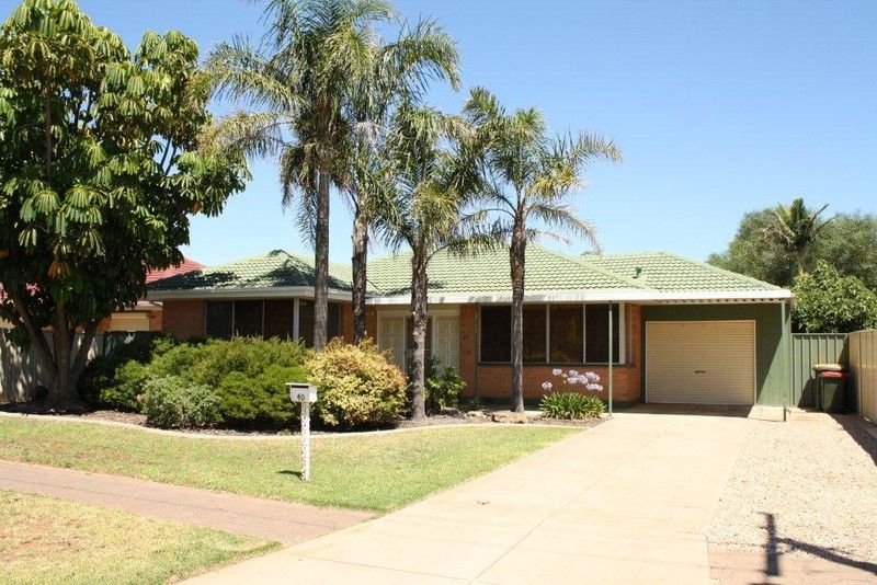 40 Rosalie Terrace, PARAFIELD GARDENS SA 5107