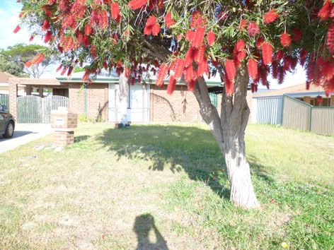 2 Giles Place, MIRRABOOKA, WA 6061