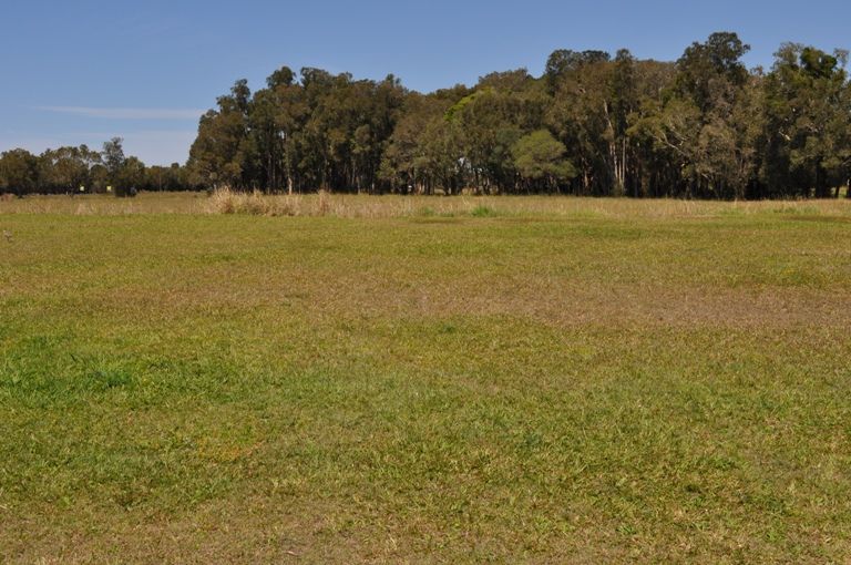 9 Harold Tory Drive, YAMBA, NSW 2464