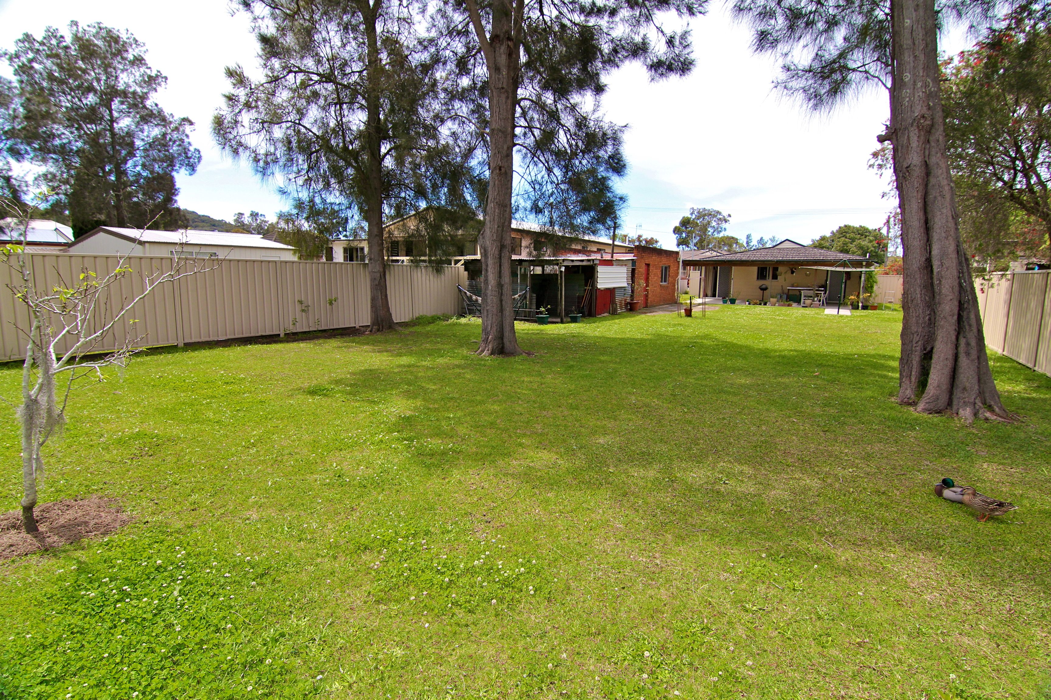 54 Mirreen Avenue, DAVISTOWN, NSW 2251