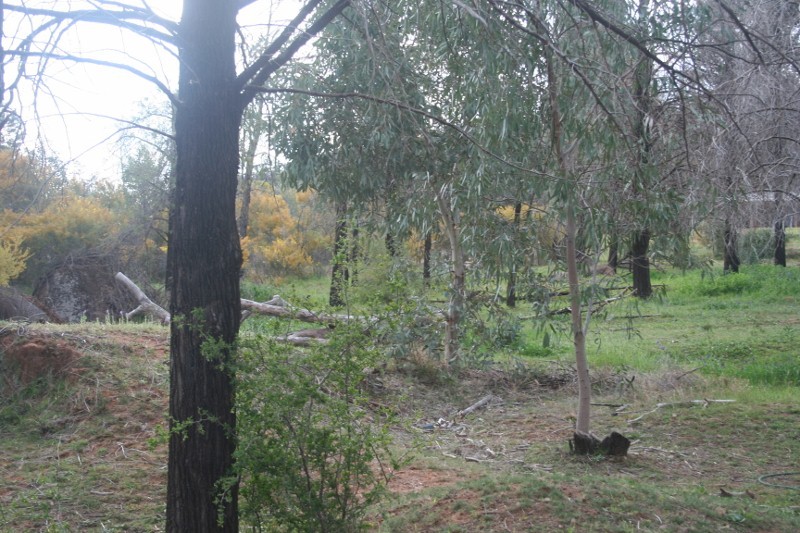 Lot 10 West Street, EUGOWRA, NSW 2806