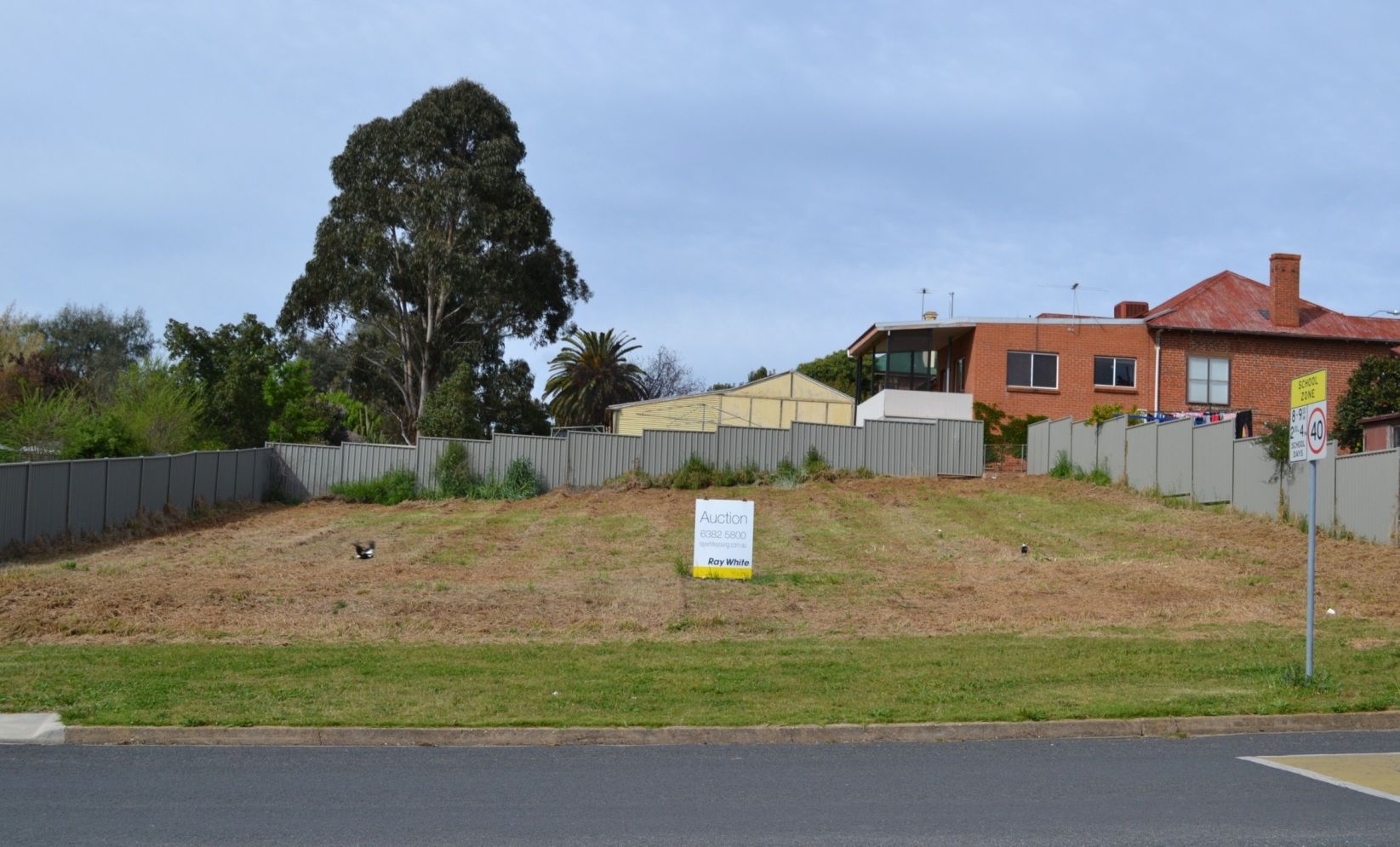 50 Berthong Street, YOUNG NSW 2594