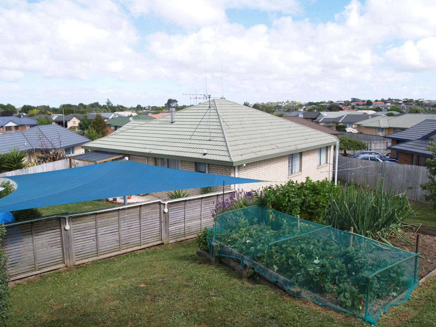 27 Antrim Place, NAWTON, Hamilton City
