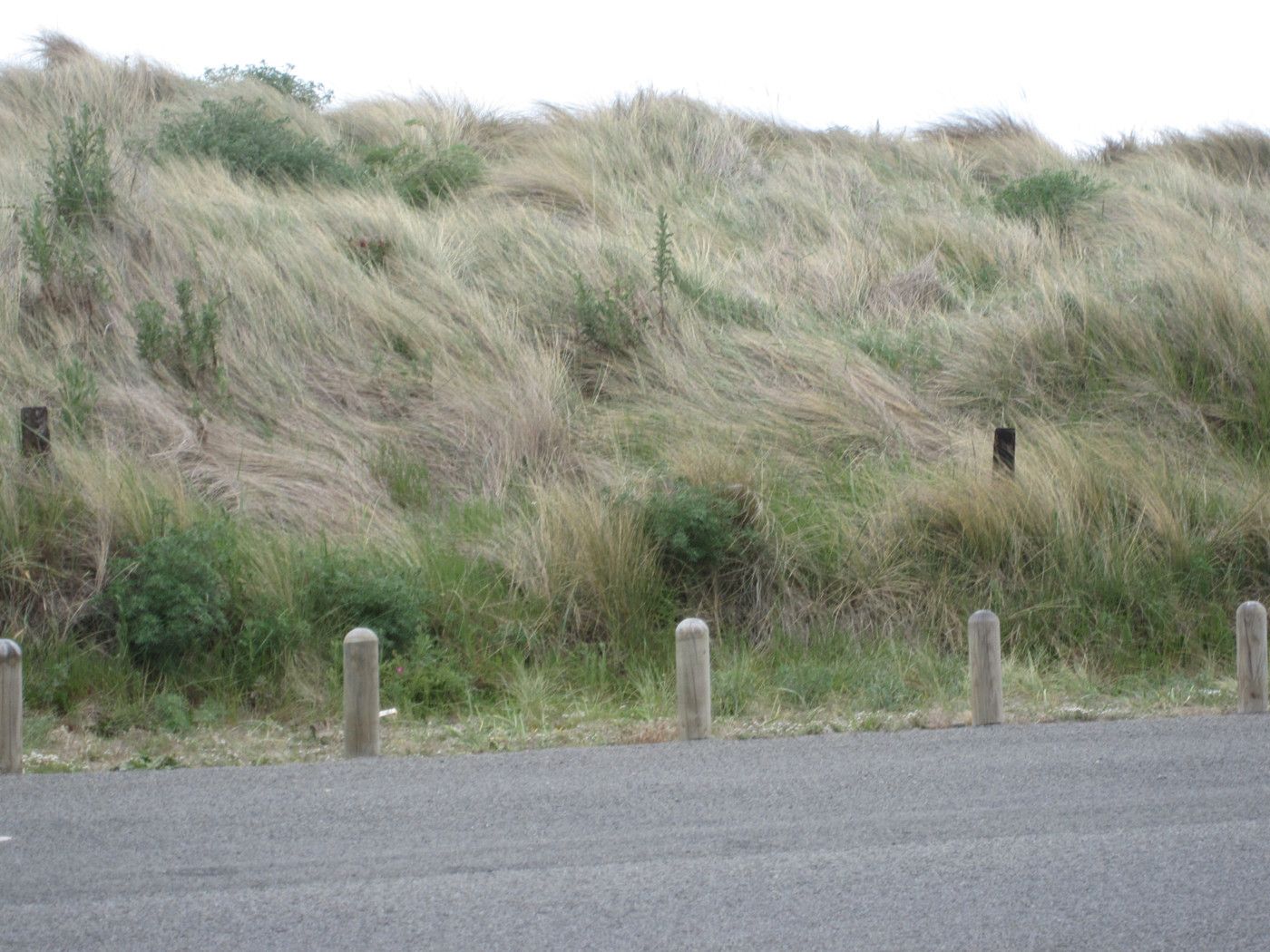 278 Marine Parade, NEW BRIGHTON, Christchurch City