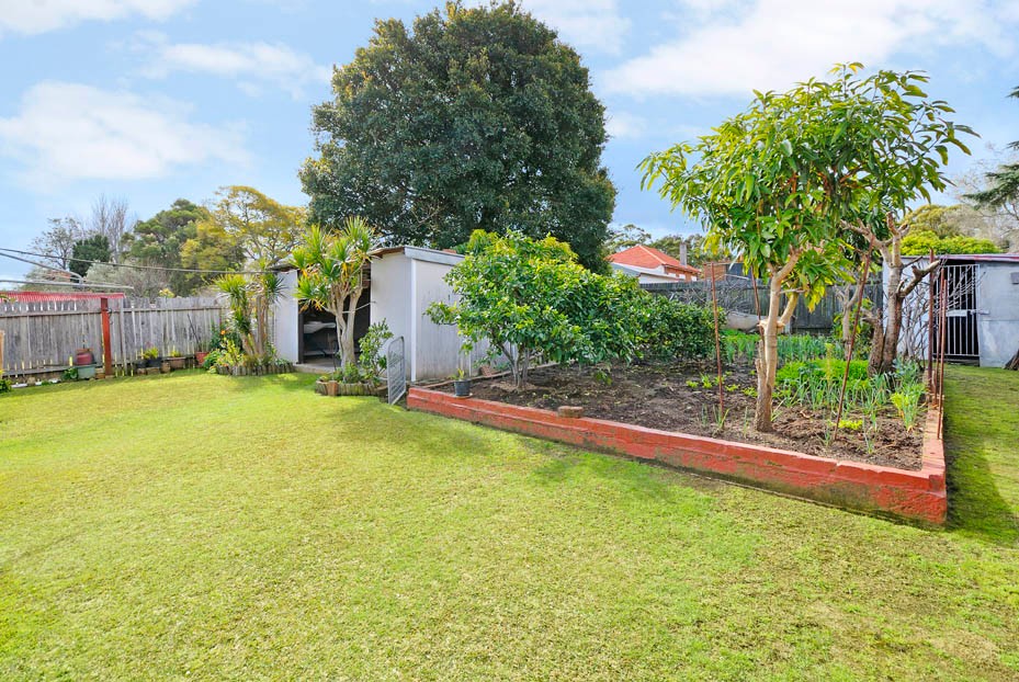 23 Griffiths Avenue, PUNCHBOWL, NSW 2196