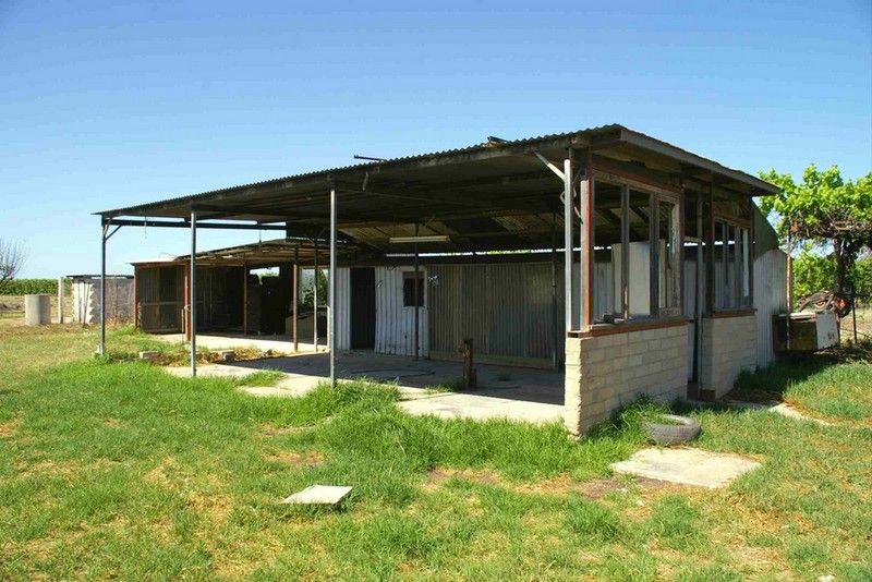 56 Culgoa Street, RENMARK, SA 5341