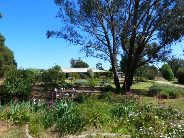 23 Cummins Drive, SAN ISIDORE, NSW 2650