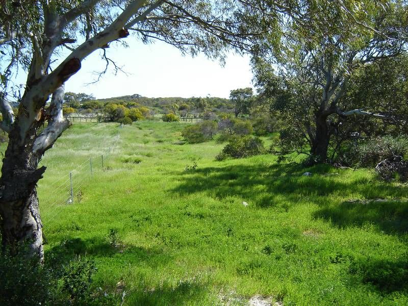 Lot 104 Homestead Loop, JURIEN BAY, WA 6516