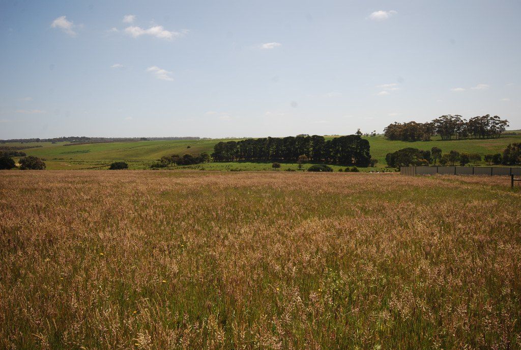 Lot 1 Brown Street, LISMORE, VIC 3324