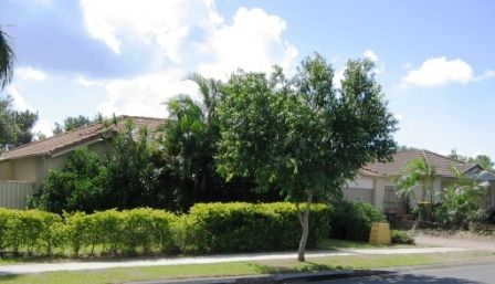 18 Fawn Street, UPPER COOMERA, QLD 4209