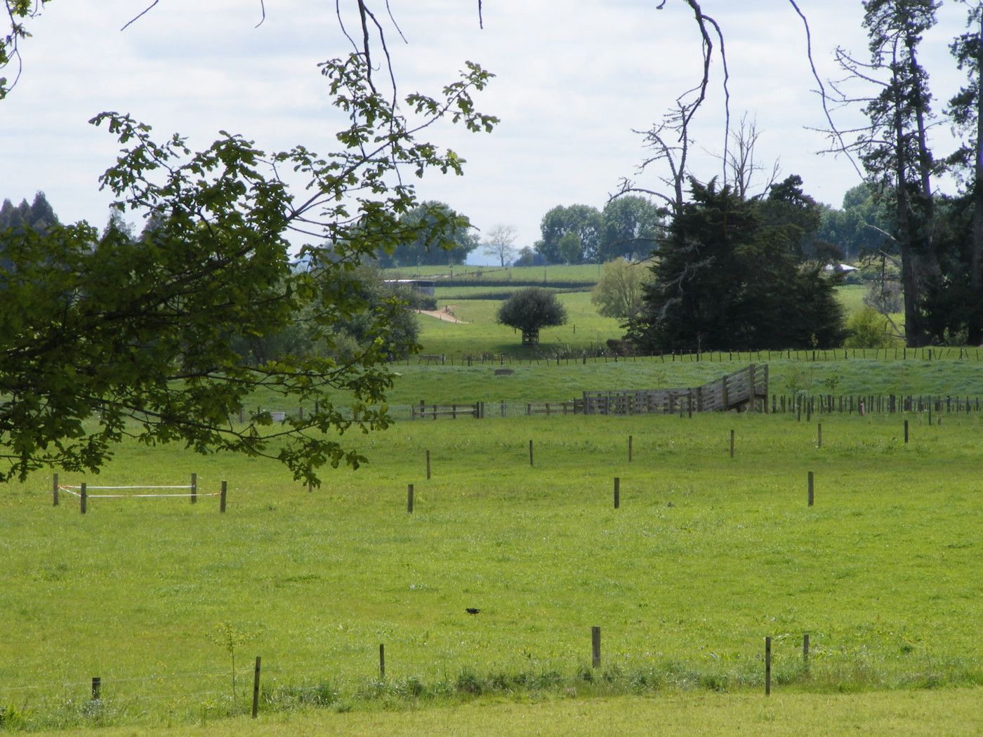 1739 Te Rahu Road, TE AWAMUTU, Waipa District