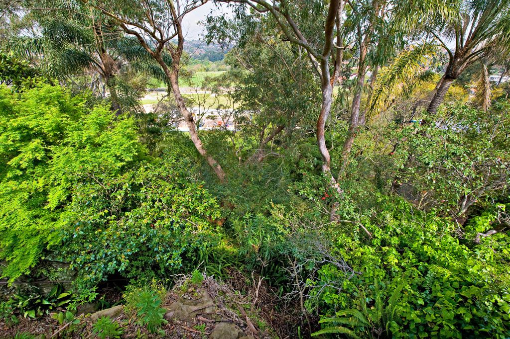 1 David Street, EARLWOOD, NSW 2206