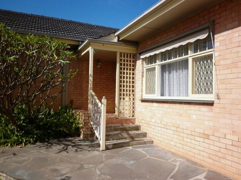 17 Errington Street, PLYMPTON, SA 5038
