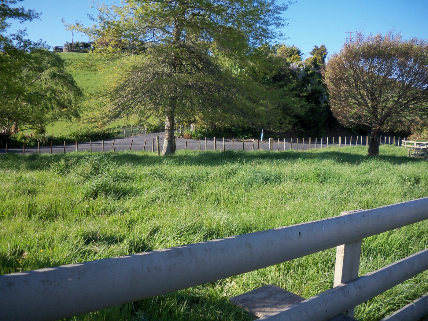 62 Crawford Road, Te Kowhai, Kaipara District