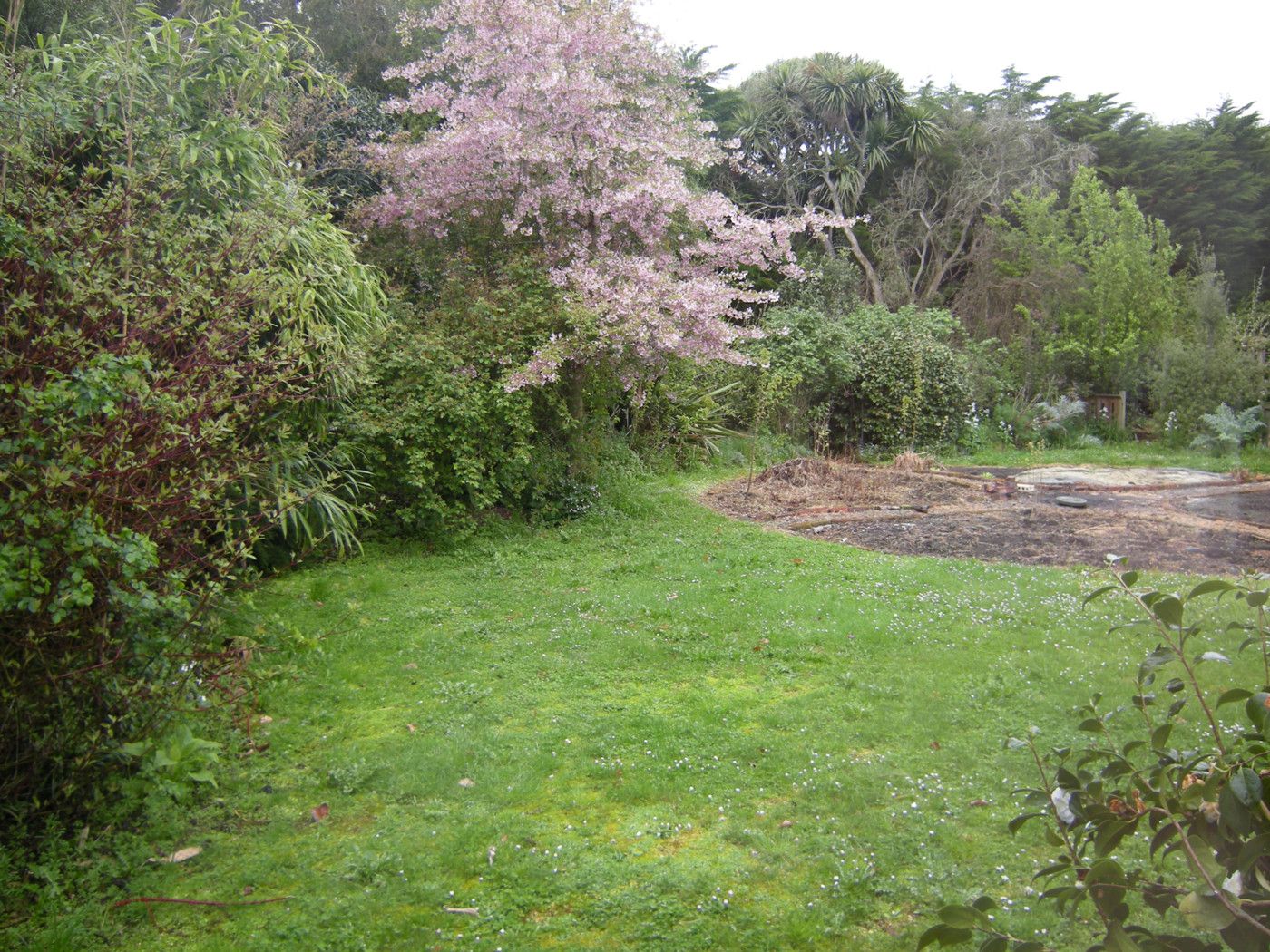 211 Leeston Road, SPRINGSTON, Selwyn District