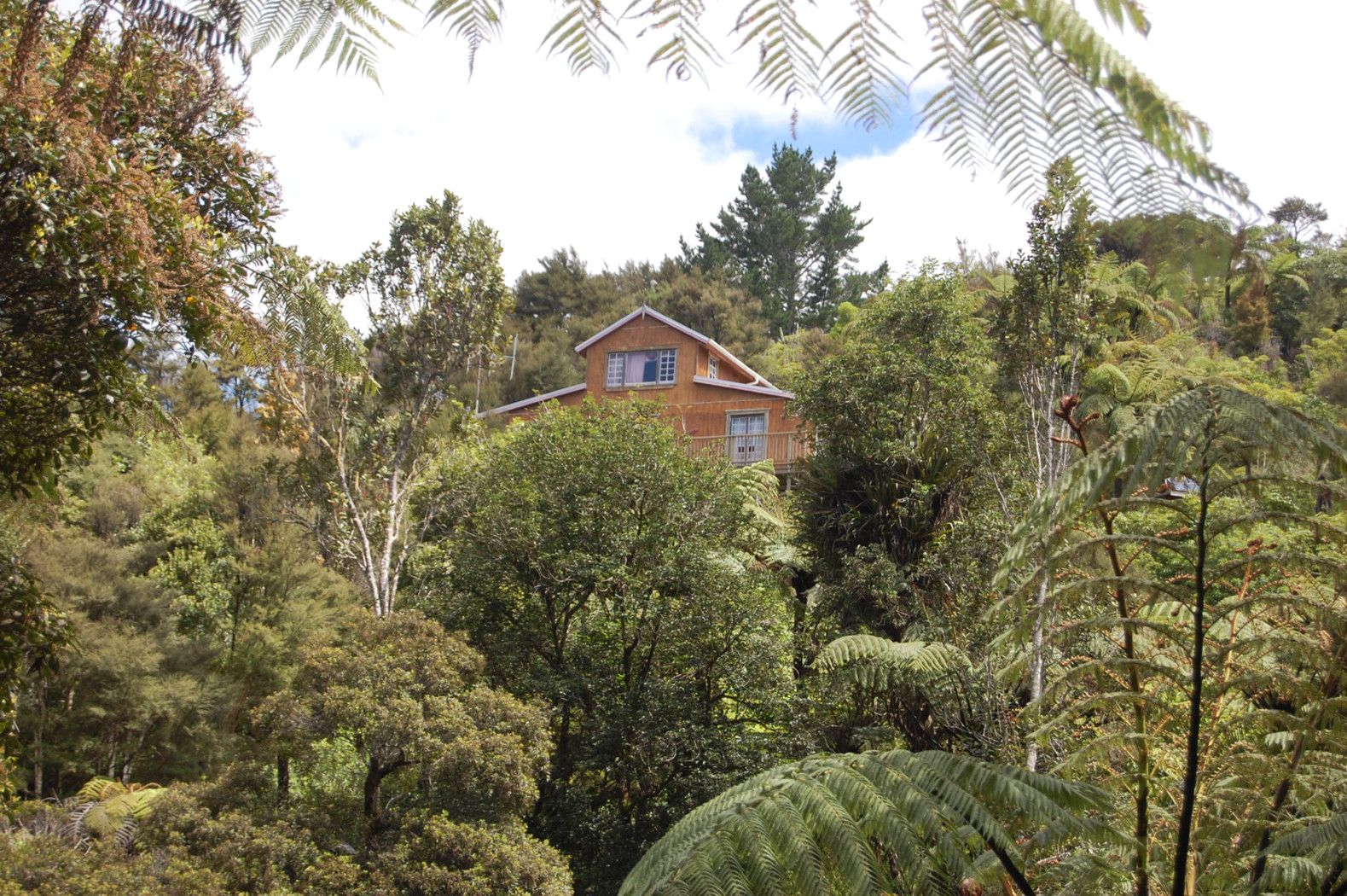 . Shepherd Road, PERIA, Far North District