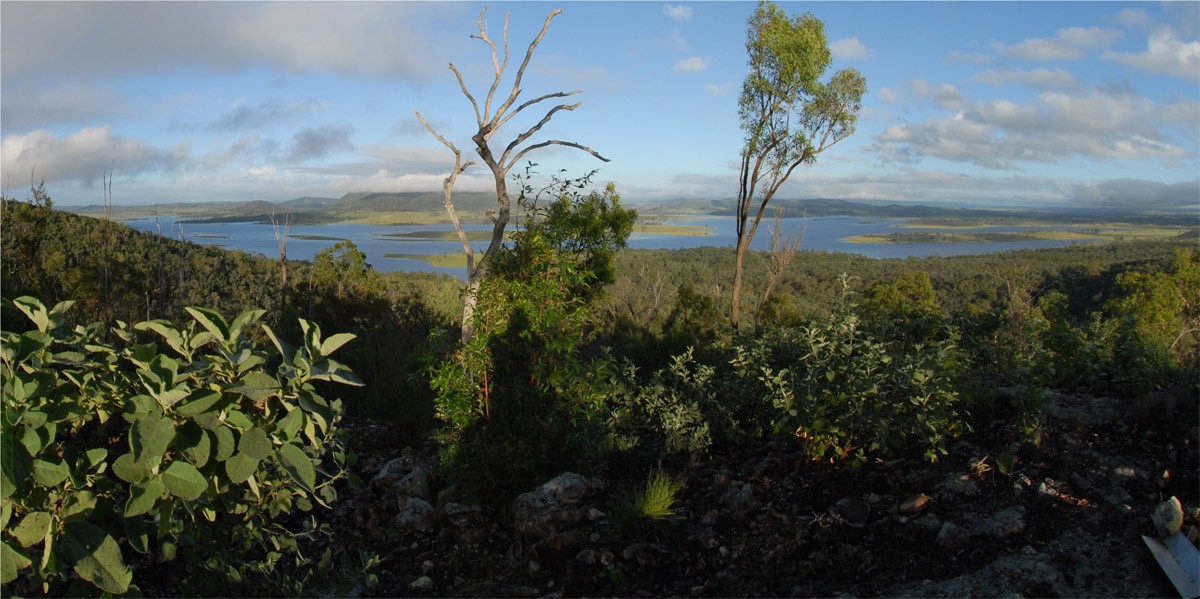 CROSSDALE, QLD 4312