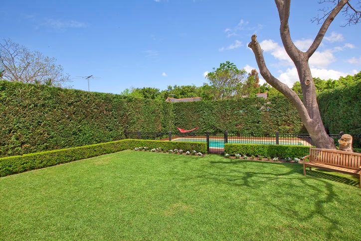71  Todman Avenue, KENSINGTON, NSW 2033