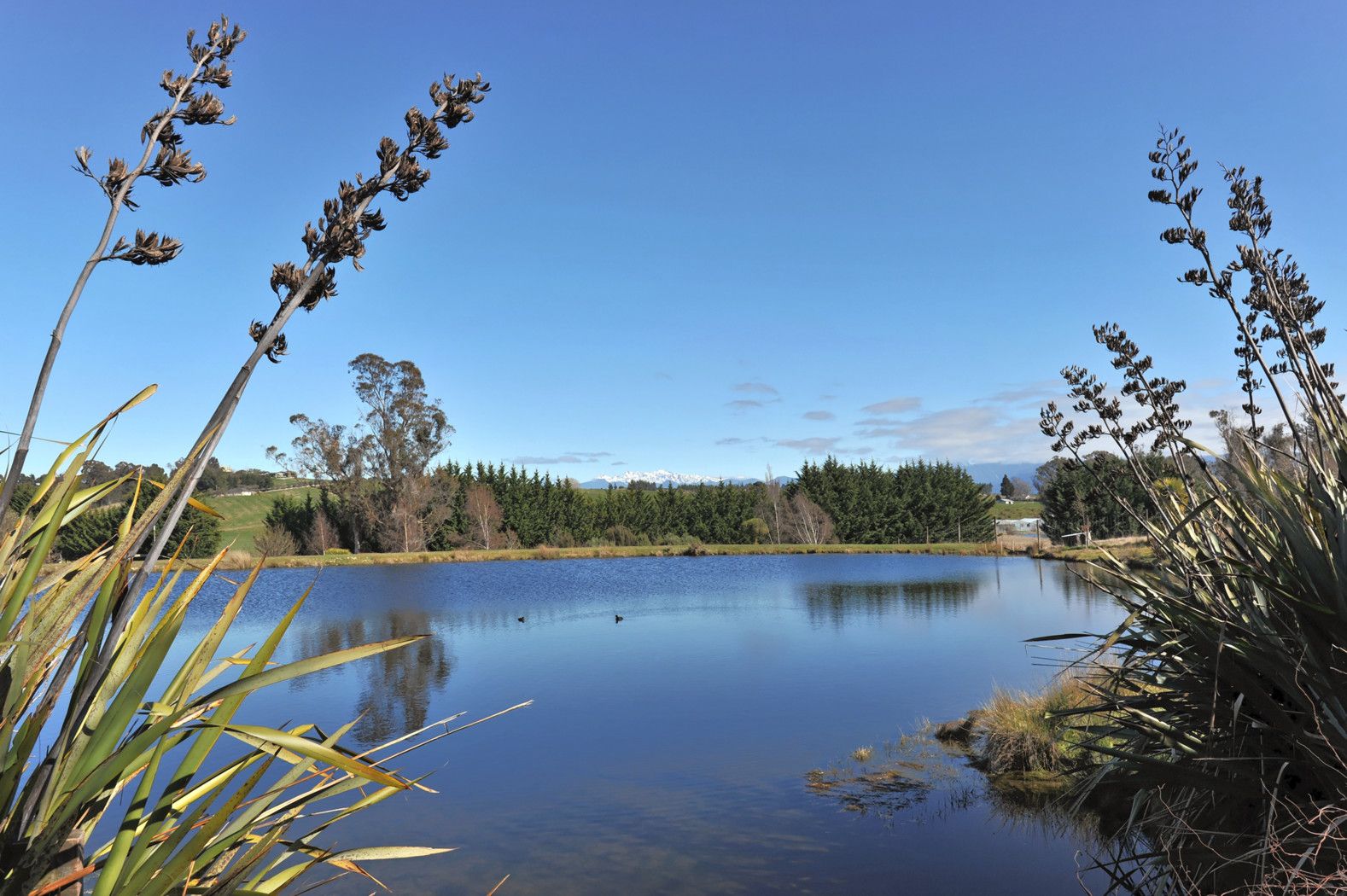 118 Aporo Road, RUBY BAY, Tasman District
