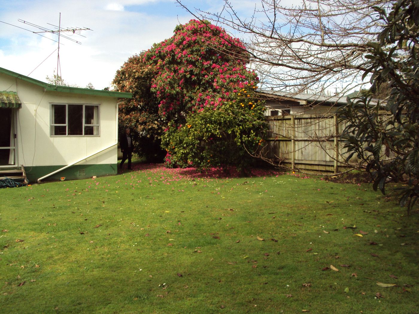 102A Asquith Avenue, MT ALBERT, Auckland City