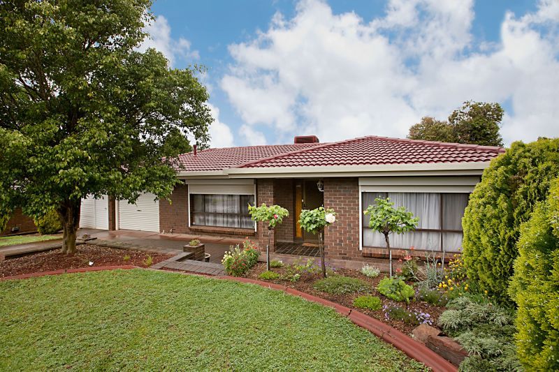 16 Plover Avenue, MODBURY HEIGHTS SA 5092
