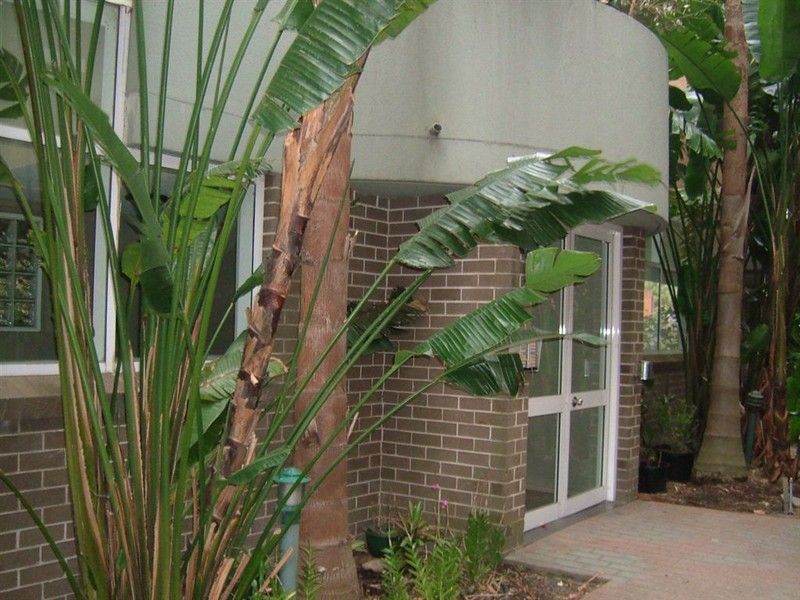 8/24-26 Maroubra Road, MAROUBRA, NSW 2035