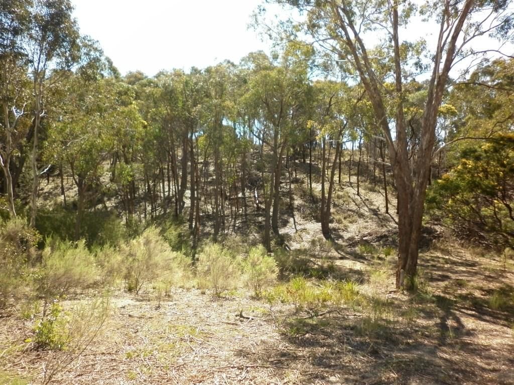 85 MCLELLANDS Road, GOULBURN, NSW 2580