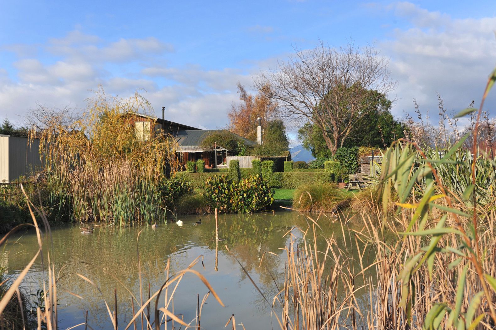 50 Golden Hills Road, Appleby, Tasman District
