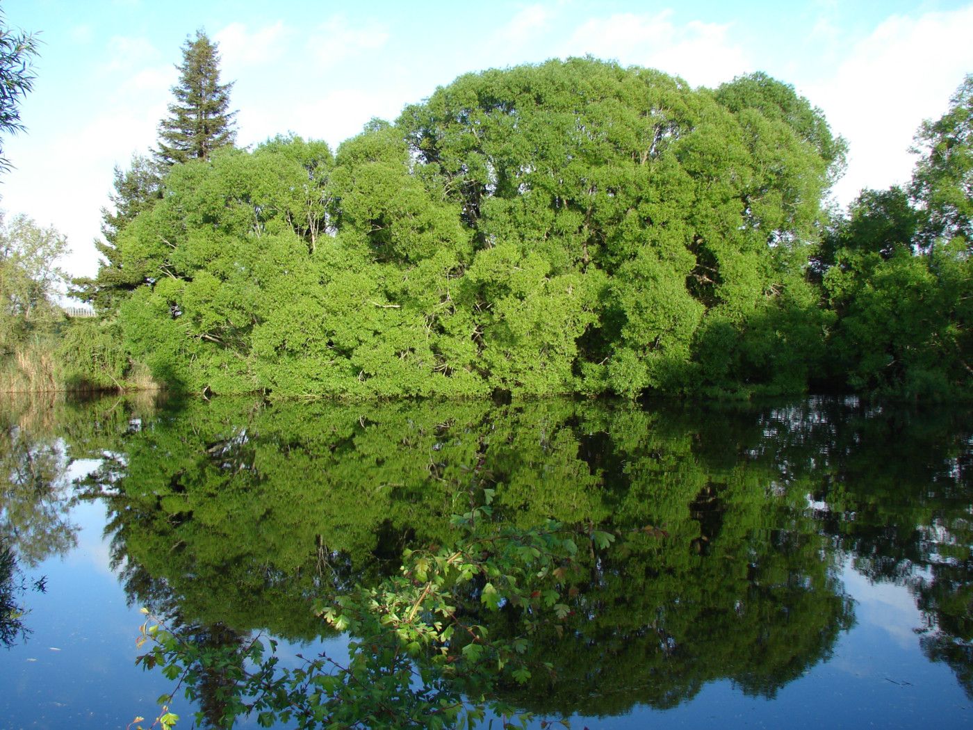 UPPER MOUTERE, Tasman District