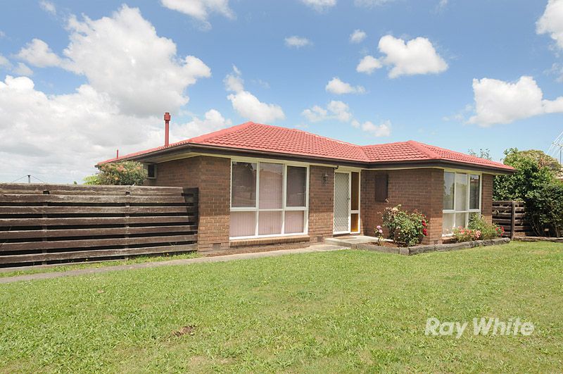 16 Bradley Terrace, NARRE WARREN VIC 3805