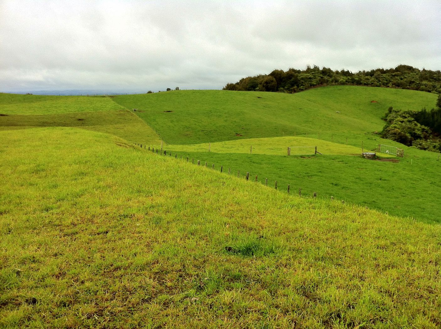 471 Sainsbury Road, PIRONGIA, Waipa District